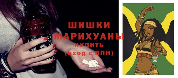соль ск Новозыбков