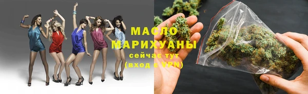 соль ск Новозыбков