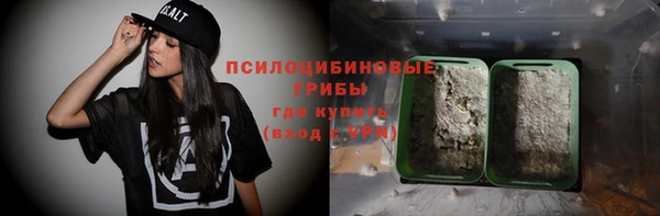соль ск Новозыбков