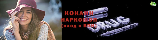 соль ск Новозыбков