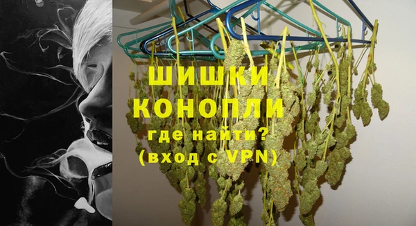 соль ск Новозыбков