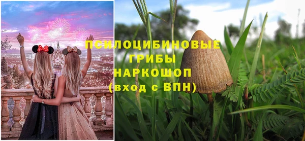 соль ск Новозыбков