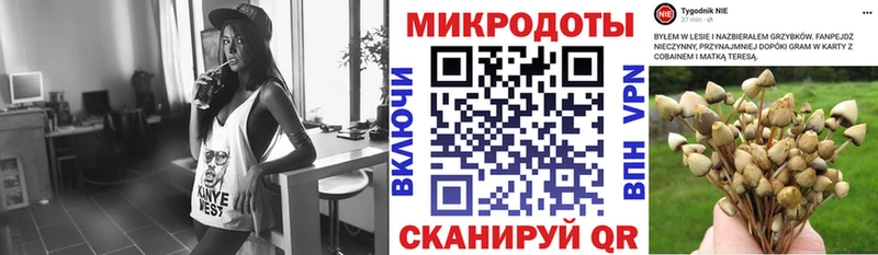 где купить наркоту  Струнино  Галлюциногенные грибы GOLDEN TEACHER 